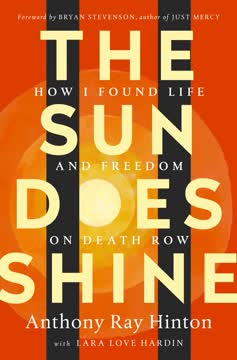 The Sun Does Shine Summary