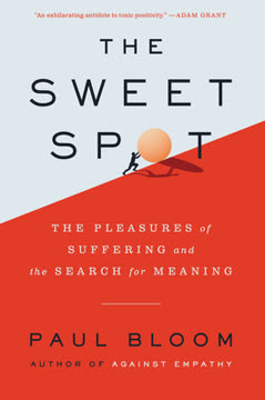 The Sweet Spot Summary