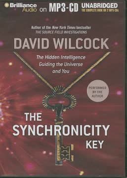 The Synchronicity Key Summary