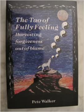 The Tao of Fully Feeling Summary