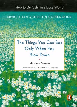 The Things You Can See Only When You Slow Down Summary