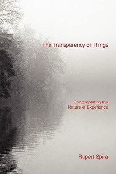 The Transparency of Things Summary