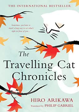 The Travelling Cat Chronicles Summary