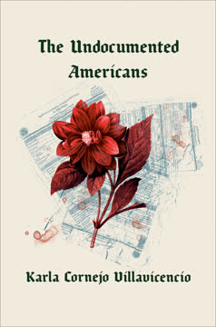 The Undocumented Americans Summary