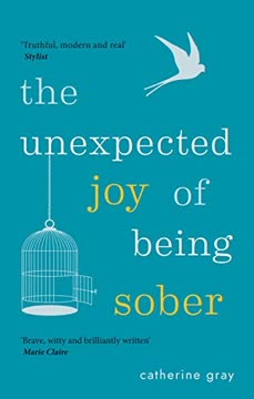 The Unexpected Joy of Being Sober Summary