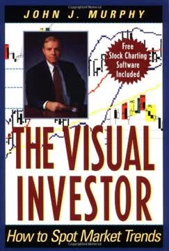 The Visual Investor Summary