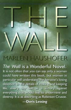 The Wall Summary