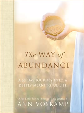 The Way of Abundance Summary