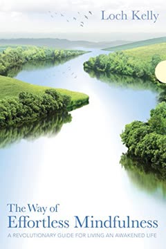 The Way of Effortless Mindfulness Summary