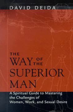The Way of the Superior Man by David Deida