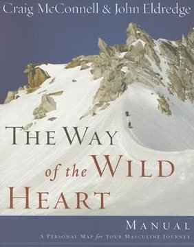 The Way of the Wild Heart Manual Summary