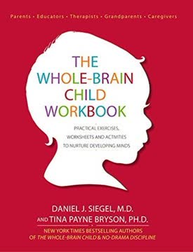 The Whole-Brain Child Workbook Summary