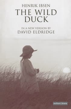 The Wild Duck Summary