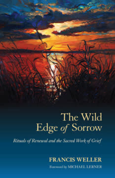 The Wild Edge of Sorrow Summary