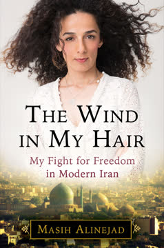 The Wind in My Hair Summary