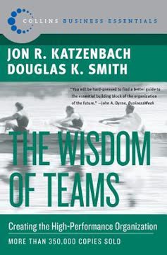 The Wisdom of Teams Summary