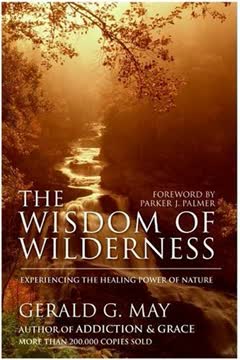 The Wisdom of Wilderness Summary
