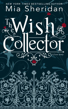 The Wish Collector Summary
