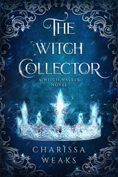 The Witch Collector Summary