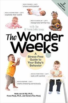 The Wonder Weeks Summary