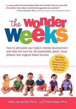 The Wonder Weeks Summary