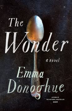 The Wonder Summary