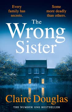 The Wrong Sister Summary