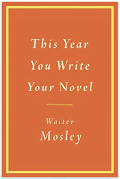 This Year You Write Your Novel Summary