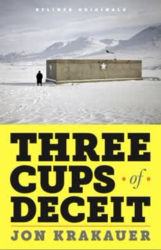 Three Cups of Deceit Summary