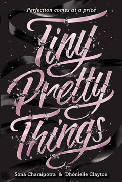 Tiny Pretty Things Summary