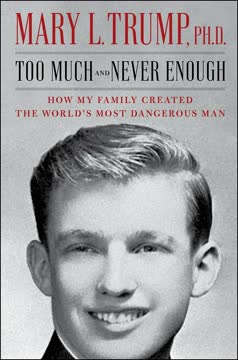 Too Much and Never Enough Summary