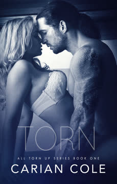 Torn Summary