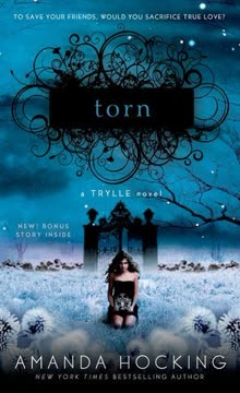 Torn Summary