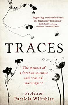 Traces Summary