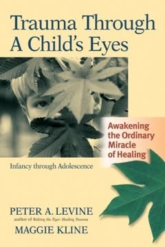 Trauma Through a Child&#039;s Eyes Summary