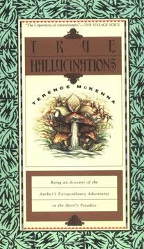 True Hallucinations Summary