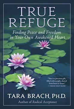 True Refuge Summary