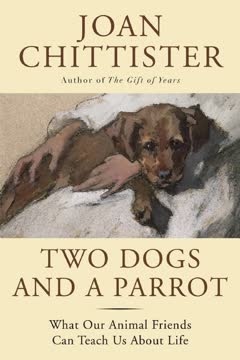 Two Dogs and a Parrot Summary