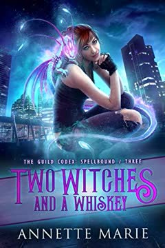 Two Witches and a Whiskey Summary
