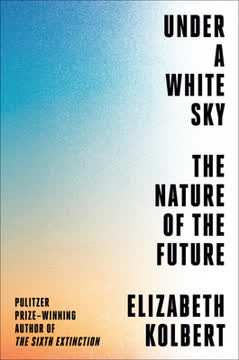 Under a White Sky Summary