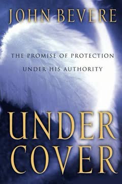 Under Cover Summary