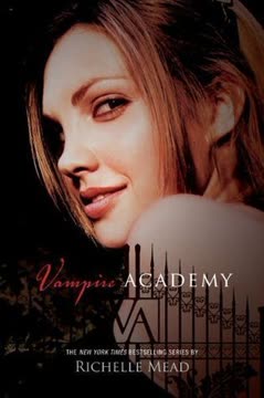 Vampire Academy Summary
