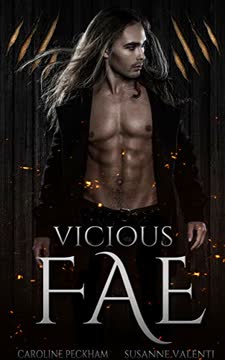 Vicious Fae Summary