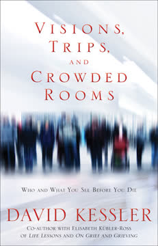 Visions, Trips, and Crowded Rooms Summary
