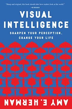 Visual Intelligence Summary