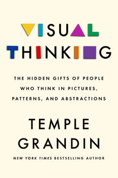 Visual Thinking Summary