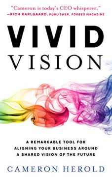 Vivid Vision Summary