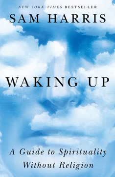 Waking Up Summary