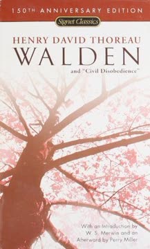 Walden &amp; Civil Disobedience Summary