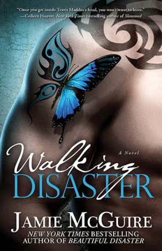 Walking Disaster Summary